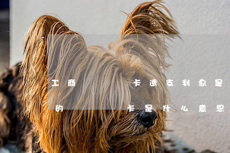 工商準貸記卡透支利息是逾期嘛-工商銀行的準貸記卡是什么意思