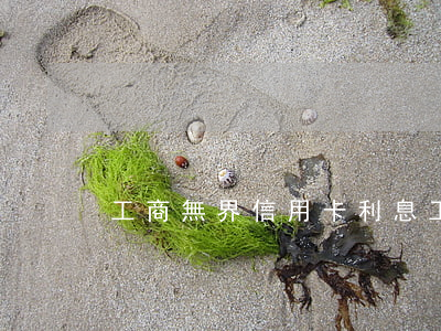 工商無界信用卡利息 工行無界限信用卡