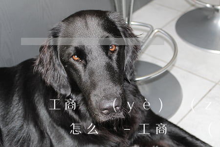 工商營業(yè)執(zhí)照逾期未年審怎么辦-工商營業(yè)執(zhí)照逾期未年審怎么辦呢