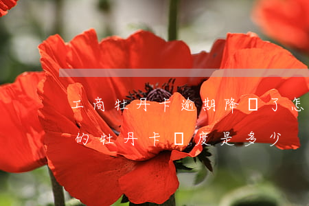 工商牡丹卡逾期降額了怎么升額-工商銀行的牡丹卡額度是多少