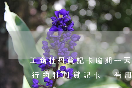 工商牡丹貸記卡逾期一天多少利息-工商銀行的牡丹貸記卡沒有用過,需還款
