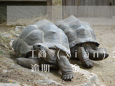 工商現(xiàn)金信用卡逾期-信用卡逾期違約金