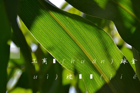工商環(huán)球金卡逾期7天會(huì)被凍結(jié)么-工商環(huán)球金卡逾期7天會(huì)被凍結(jié)么嗎