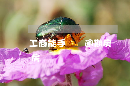 工商能手動還逾期房貸嗎(工商能手動還逾期房貸嗎)