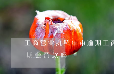 工商营业执照年审逾期 工商营业执照年审逾期会罚款吗