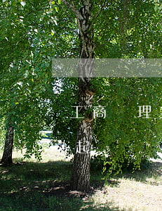 工商處理案件逾期怎么處理 工商逾期多久會起訴