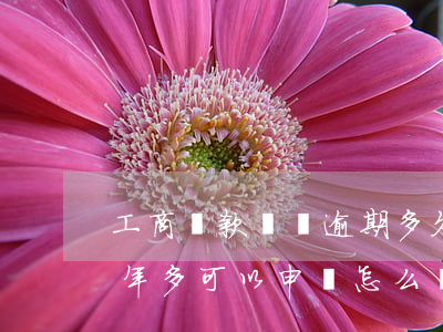 工商貸款買車逾期多久(工商銀行車貸逾期兩年多可以申請怎么還款)