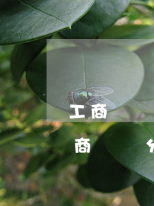 工商購車分期卡逾期被凍結(jié)-工商購車分期卡逾期被凍結(jié)了