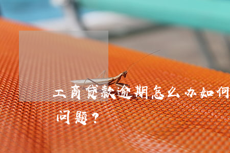 工商贷款逾期怎么办，如何处理工商贷款逾期问题？
