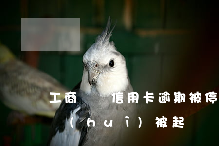工商車貸信用卡逾期被停(工商車貸逾期多久會(huì)被起訴)