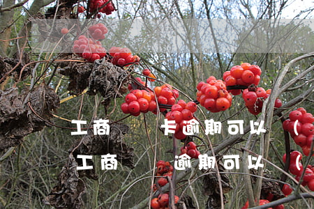 工商車貸卡逾期可以協(xié)商還款不（工商車貸逾期可以協(xié)商還款）