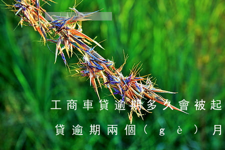 工商車貸逾期多久會被起訴工商 工商銀行車貸逾期兩個(gè)月會不會被起訴