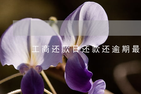 工商还款日还款还逾期(最低还款算逾期吗)