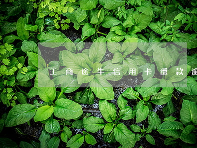 工商途牛信用卡還款逾期一天