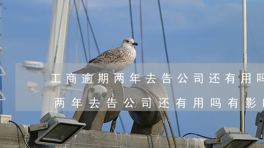工商逾期两年去告公司还有用吗-工商逾期两年去告公司还有用吗有影响吗