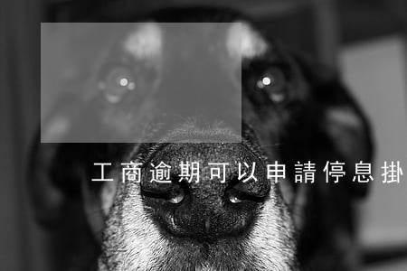 工商逾期可以申請停息掛賬嗎
