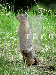 工商逾期呆賬還清后征信沒更新-工商逾期呆賬還清后征信沒更新怎么辦