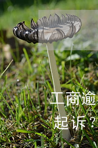 工商逾期多久会起诉，工商逾期多长时间会被起诉？