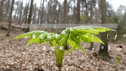 工商逾期手續(xù)費(fèi)怎么算-工商逾期幾個(gè)小時(shí)怎么算
