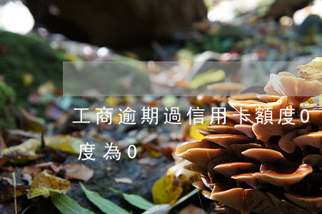 工商逾期過信用卡額度0(工商信用卡突然額度為0)