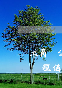 工商銀信用卡逾期能辦卡嗎(工商銀行能不能辦理信用卡)