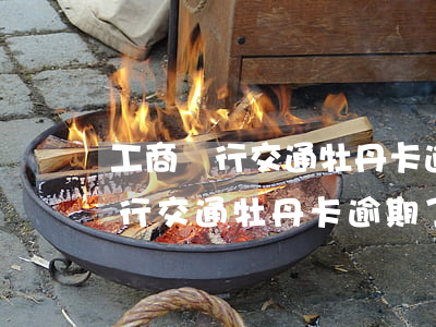 工商銀行交通牡丹卡逾期了怎么辦-工商銀行交通牡丹卡逾期了怎么辦呢