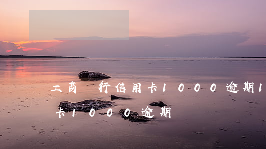 工商銀行信用卡1000逾期1年（工行信用卡1000逾期）