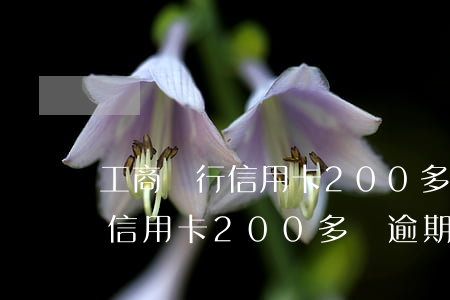 工商銀行信用卡200多塊逾期-工商銀行信用卡200多塊逾期怎么辦