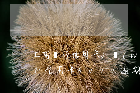 工商銀行信用卡2萬(wàn)逾期兩年(工行信用卡3000逾期了兩年)