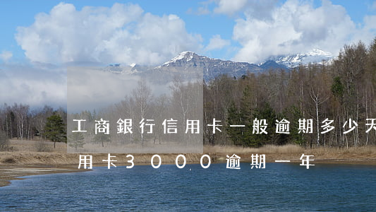 工商銀行信用卡一般逾期多少天(工商銀行信用卡3000逾期一年)