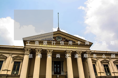 工商銀行信用卡兩次逾期怎么辦-工商銀行信用卡兩次逾期怎么辦啊