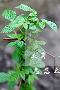 工商銀行信用卡利息低(工行的信用卡透支利息怎么算)