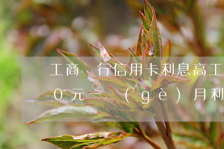 工商銀行信用卡利息高(工行信用卡10000元一個(gè)月利息)