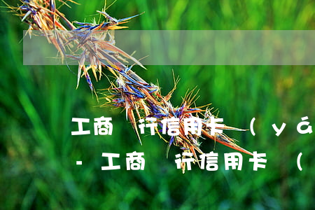工商銀行信用卡嚴(yán)重逾期怎么辦-工商銀行信用卡嚴(yán)重逾期怎么辦啊