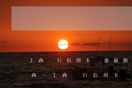 工商銀行信用卡嚴重逾期怎么協(xié)商-工商銀行信用卡嚴重逾期怎么協(xié)商還款