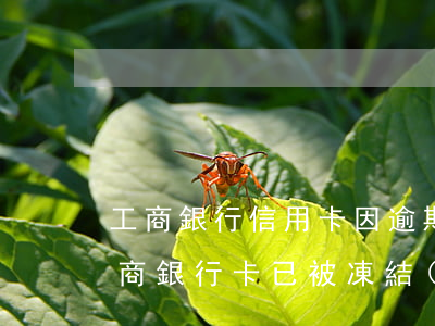 工商銀行信用卡因逾期被凍結(jié)(工商銀行卡已被凍結(jié))