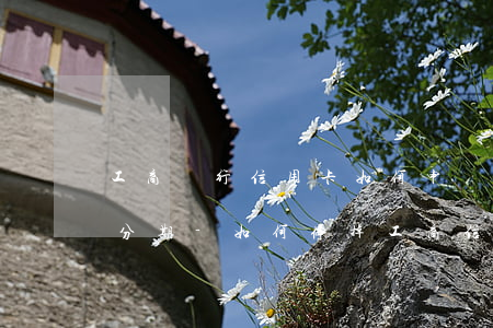 工商銀行信用卡如何申請(qǐng)停息分期-如何停掉工商信用卡