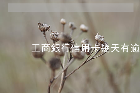 工商銀行信用卡幾天有逾期(工行信用卡 逾期)