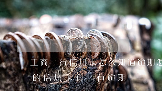 工商銀行信用卡怎么知道逾期(怎么知道自己的信用卡有沒有逾期)