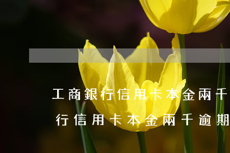 工商銀行信用卡本金兩千逾期九年-工商銀行信用卡本金兩千逾期九年怎么辦
