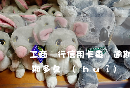 工商銀行信用卡查詢逾期(工商銀行信用卡逾期多久會(huì)聯(lián)系緊急聯(lián)系人)