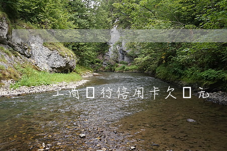 工商銀行信用卡欠幾元