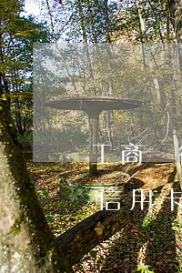工商銀行信用卡欠款被停咋還錢-工商銀行信用卡欠款被停咋還錢呢