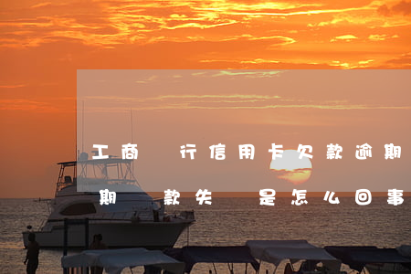 工商銀行信用卡欠款逾期(工商銀行信用卡逾期還款失敗是怎么回事)