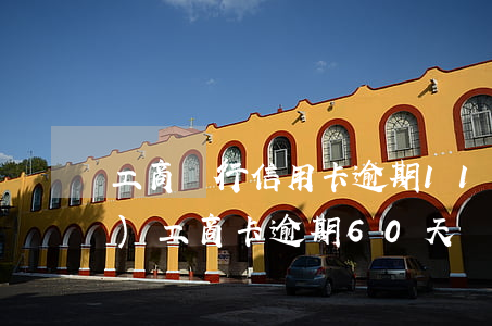 工商銀行信用卡逾期110天凍結(jié)(工商卡逾期60天凍結(jié))