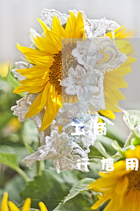 工商銀行信用卡逾期15萬起訴了-工商銀行信用卡逾期15萬起訴了怎么辦
