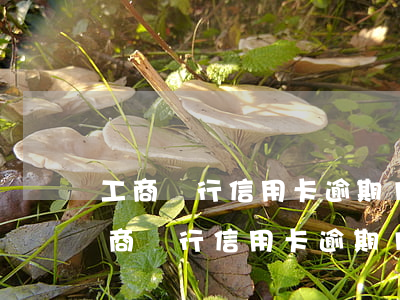 工商銀行信用卡逾期1天會有不良記錄-工商銀行信用卡逾期1天會有不良記錄嗎