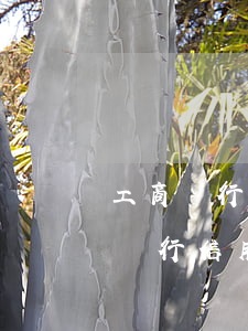 工商銀行信用卡逾期20天會上門嗎-工商銀行信用卡逾期20天會上門嗎怎么辦