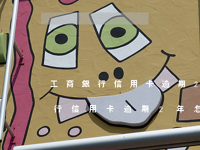 工商銀行信用卡逾期2年怎么分期-工商銀行信用卡逾期2年怎么分期還款