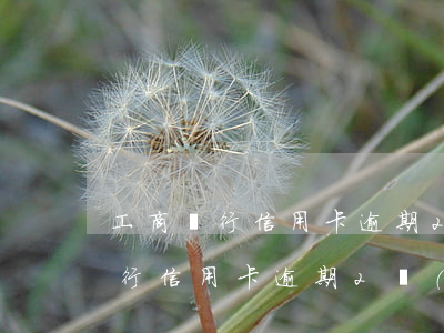 工商銀行信用卡逾期2萬(wàn)(工商銀行信用卡逾期2萬(wàn)多久被起訴)
